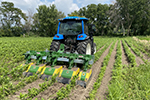 Inter-Row Tillers For Herbicide Free Weed Control